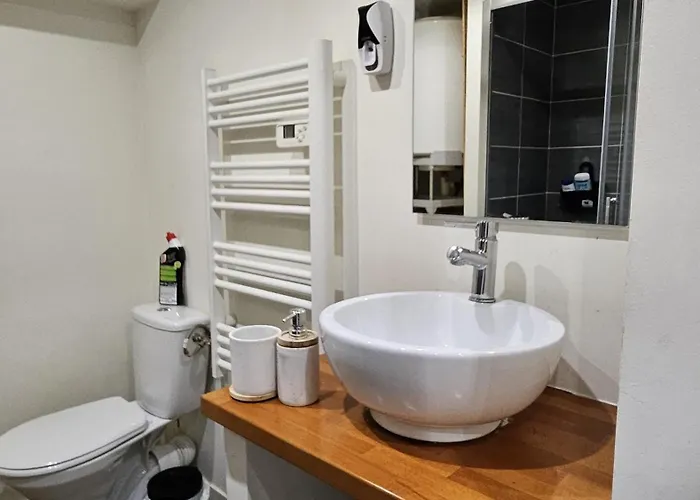 Sejour Urbain Et Verdoyant Centre-ville Et Nature Διαμέρισμα